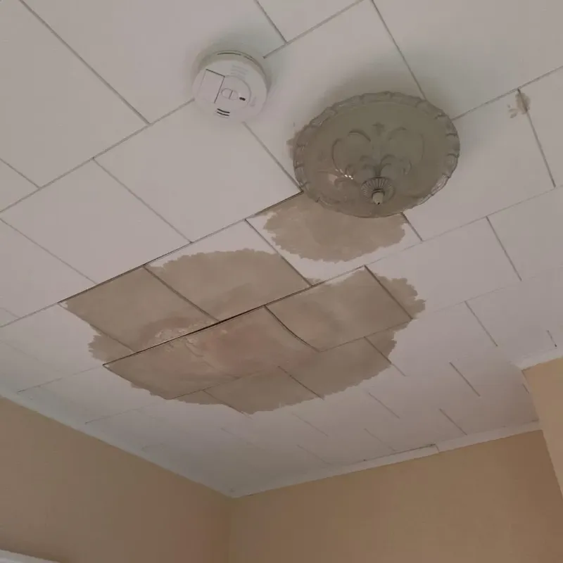 Ceiling Water Damage Repair in Rusk, TX