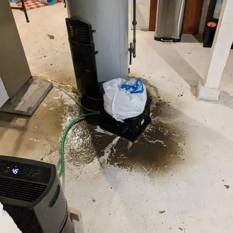 Sewage Backup Cleanup Service in Rusk, TX